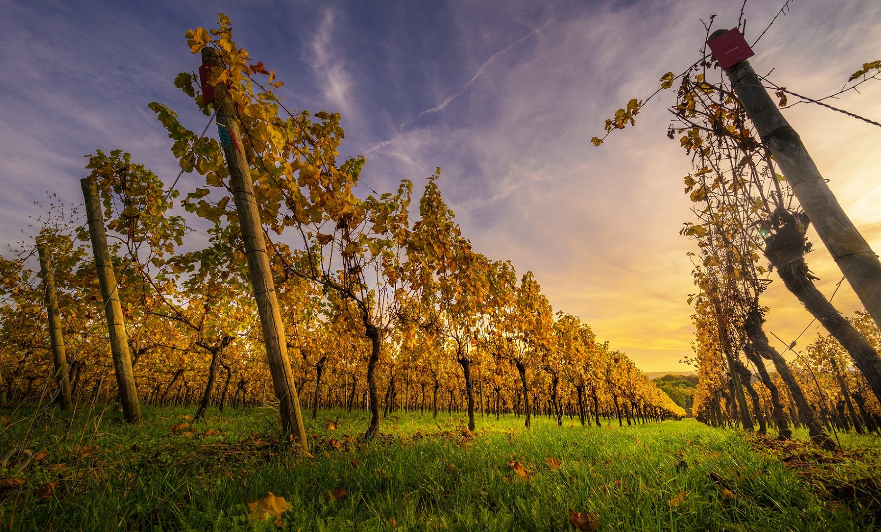 France-Obseques-Agence-Bourgogne-Franche-Comte