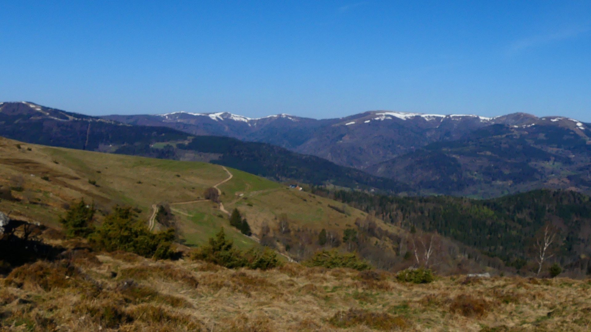 Vosges